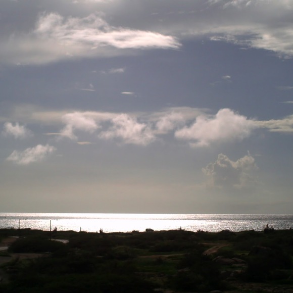 Meet your Posher, Errol - Picture 1 of 1